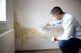 Best Mold Prevention Services  in Norwalk, IA